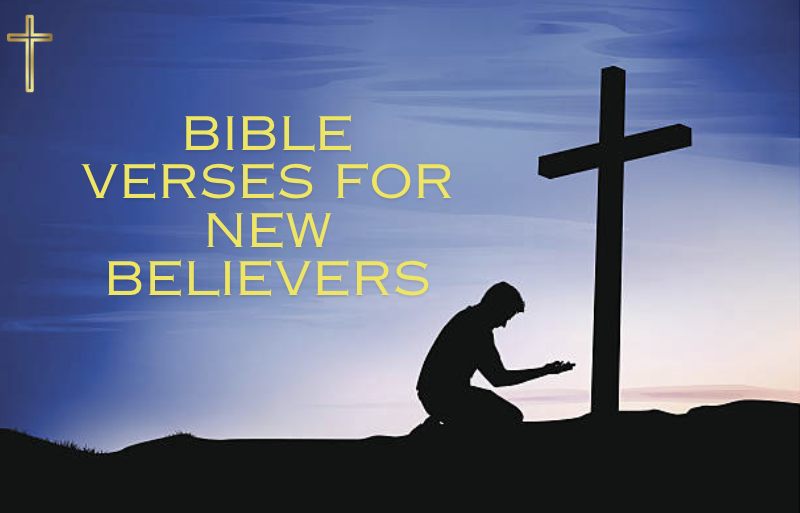 Bible verses for new believers